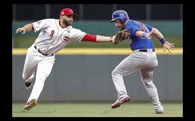 【MLB】ルクロイ、ダルビッシュらとのバッテリー再結成へ「急いで覚えなくて済む。とても良いこと」