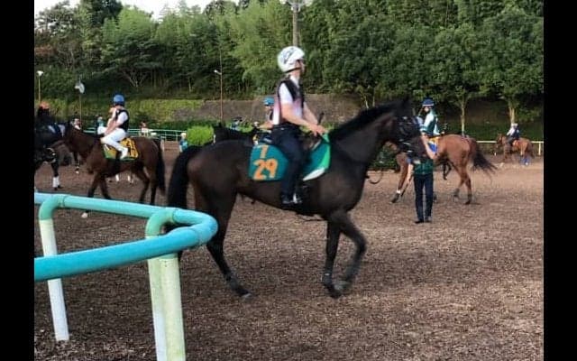 【注目新馬】サンクテュエール  半兄はヨシダ