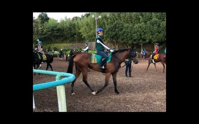 【注目新馬】カトゥルスフェリス  ディープの良血馬が始動