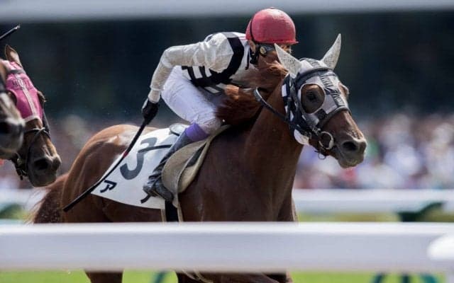 【札幌7R】武豊騎乗 アノが直線一気の末脚で差し切る