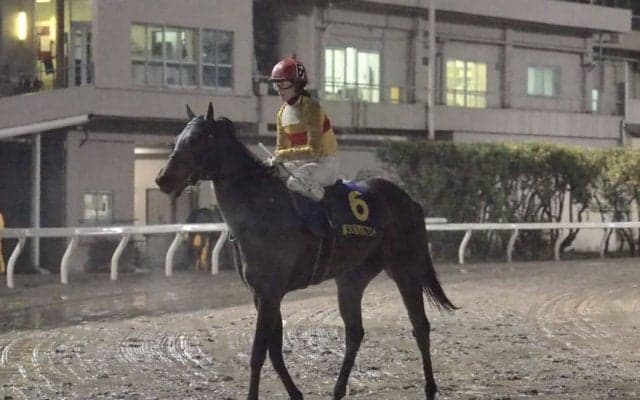 【クラスターC】藤田菜七子 コパノキッキングは6枠9番