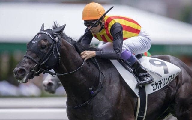 【日曜札幌/5R新馬】武豊「併せてからようやくスイッチが…」エカテリンブルクが断然の人気に応える