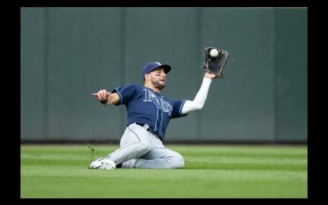 「キャッチ・オブ・ザ・イヤー！」　MLB屈指の名手の“HR強奪”超美技にファン大興奮