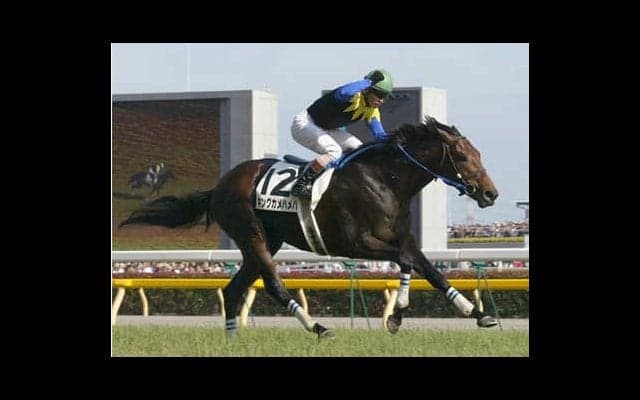 異次元の強さだったキングカメハメハ。安藤勝己「誰が乗っても勝てた」