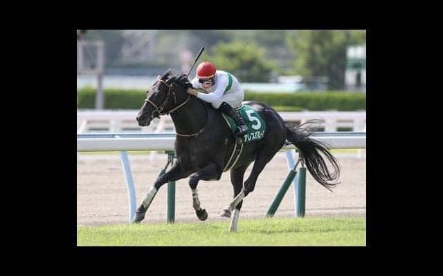 100万馬券が続出。北九州記念は人気の盲点となる差し馬２頭を狙え