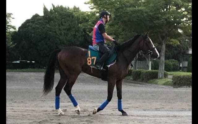 【注目新馬】ステージアクトレス 戸田師「稽古では文句ない動き」