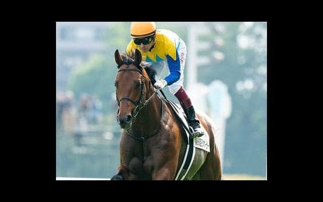 札幌記念は４歳世代のＧＩ馬３頭が中心も、一角崩しを狙うなら３歳馬