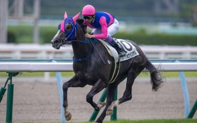 【小倉2R】武豊メイショウベンガルが圧勝！