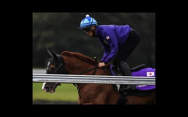 英ＧⅠに挑むベテラン馬、シュヴァルグランに３つの吉兆あり