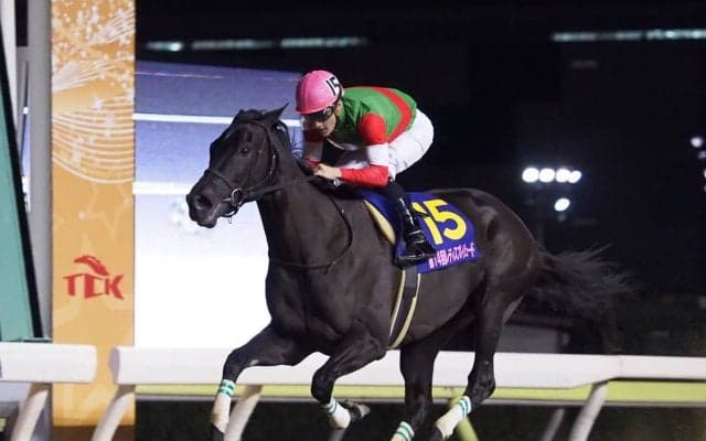 クイーンマンボ号が競走馬登録抹消