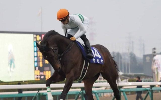 2019凱旋門賞（G1）出走予定のキセキ号がフランスに到着