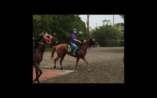 【新潟2歳S】グライユル 鹿戸師「マイルまでなら持ちそう」