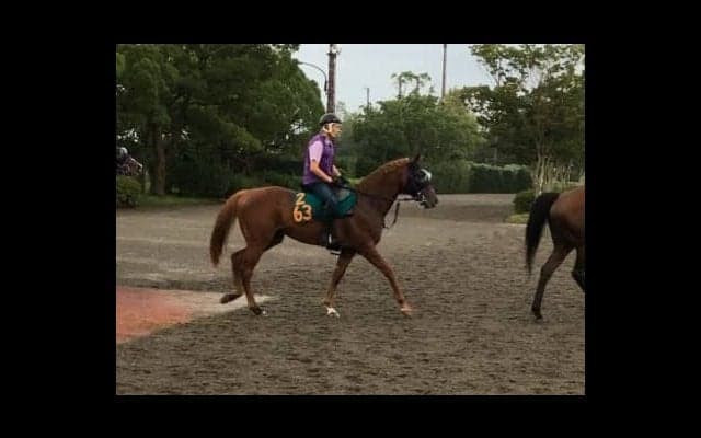 【新潟2歳S】ウインカーネリアン 鹿戸師「最終追いも手応え十分」