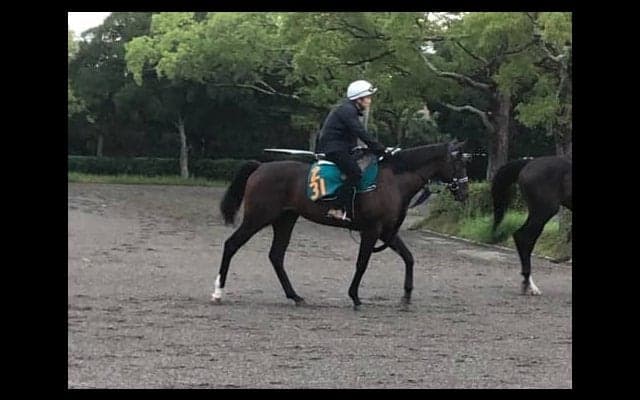 【新潟2歳S】タイムマシン 前走でガラリ一変！引き続き好調