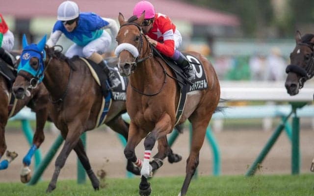 【ルスツ特別】武豊レッドアステルが人気に応えて快勝！