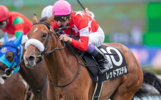 【ルスツ特別】武豊「完勝ですね」レッドアステルが人気に応える