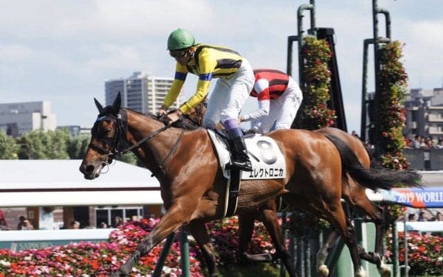 【札幌8R】武豊 エレクトロニカが差し切り！コンビを組んで3戦目のV