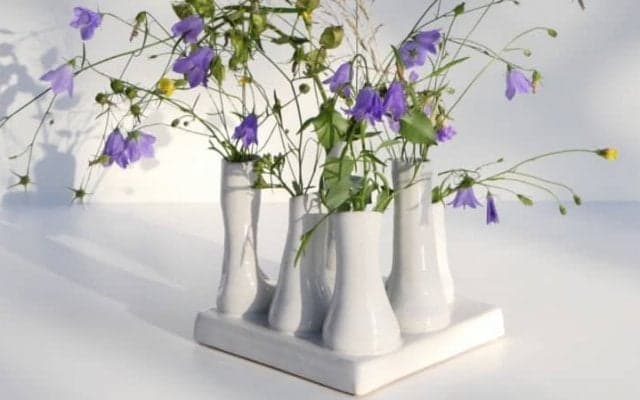 健康の味方♥️スーパーフードとは