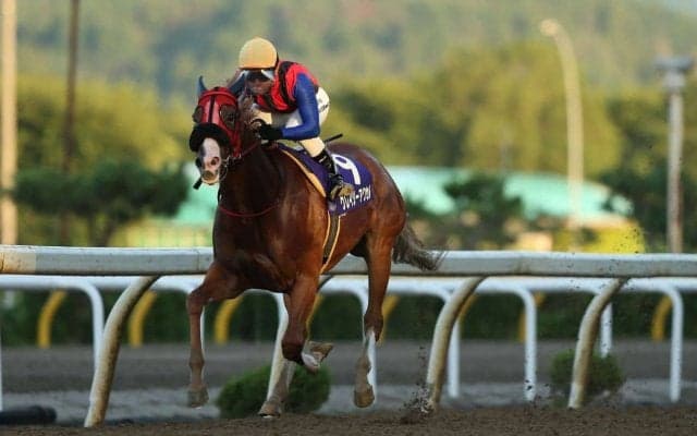 【ビューチフルドリーマーC】レース結果と関係者コメント