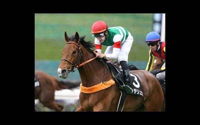 新潟記念は高配当が多発。夏最後の大花火はディープ産駒で打ち上げだ