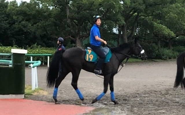 【注目新馬】ペルラネーラ 良血ディープ産駒が始動