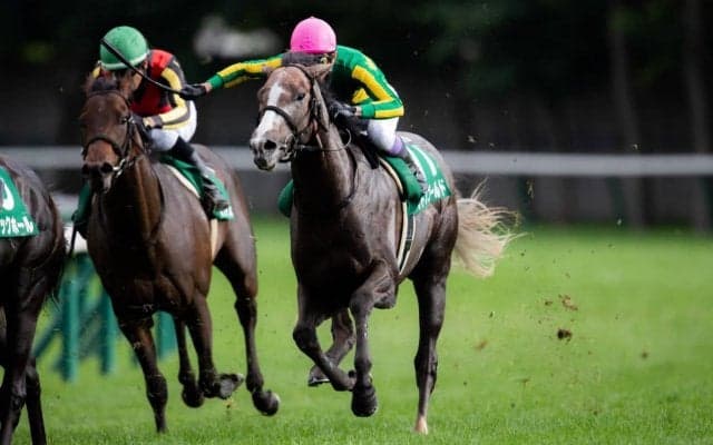 【札幌2歳S】武豊「大幅に時計を短縮」サトノゴールド2着でゴールドシップ産駒のワンツー