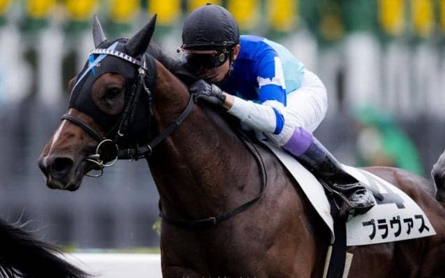 【札幌8R】武豊騎乗の良血馬ブラヴァスが2勝目！ラスト1ハロンの脚色目立つ