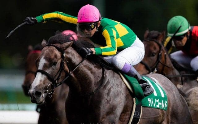 【札幌2歳S】ルメール「蹄鉄がズレていました」レース後ジョッキーコメント