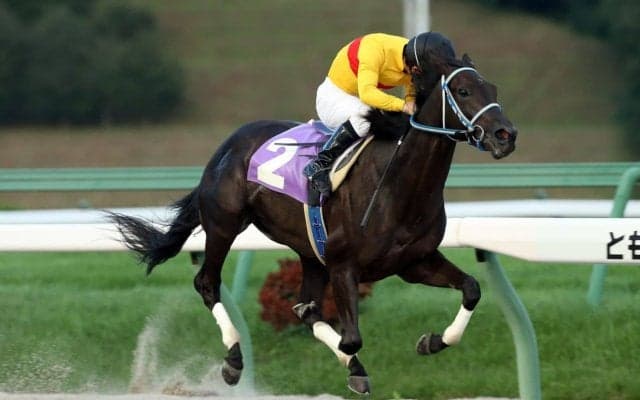 【盛岡・ビギナーズC】レース結果と関係者コメント