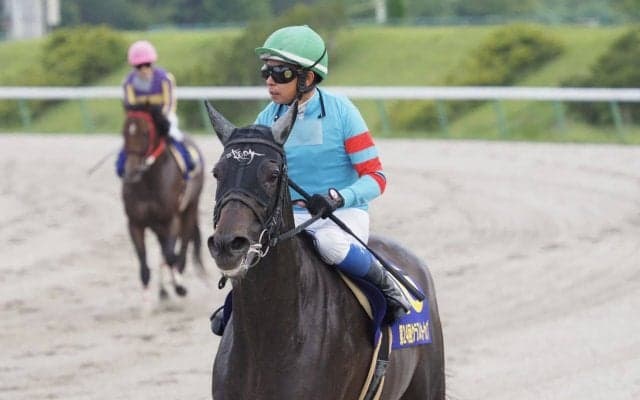 【オーバルスプリント】JRA出走予定馬