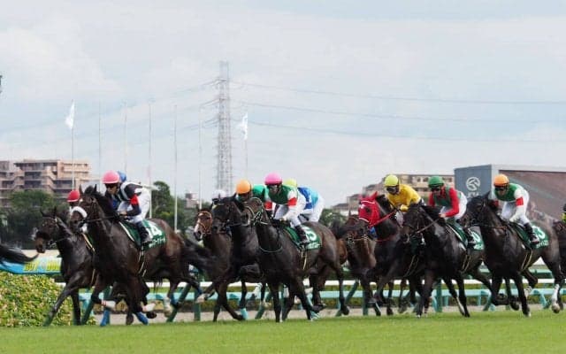 【紫苑S】津村「ハミを噛んだ」レース後ジョッキーコメント