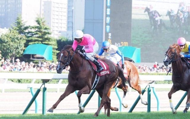 サクラアンプルール号が競走馬登録抹消