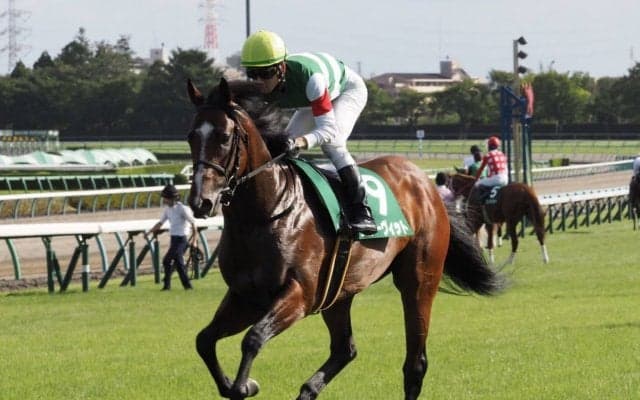 【京成杯AH】松山「一杯一杯」グルーヴィットは1番人気に支持されるも11着