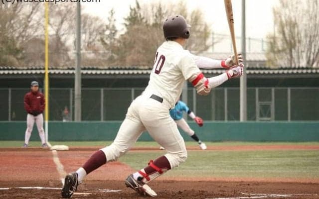 夏季オープン戦ほか日程