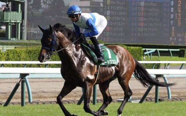 【京成杯AH】Mデムーロ「あぶみが外れた」レース後ジョッキーコメント