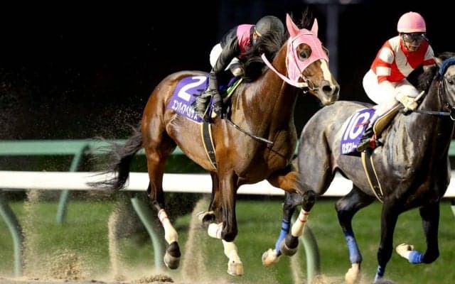 【盛岡・青藍賞】レース結果と関係者コメント