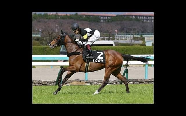 ローズＳはディープインパクト産駒に注目。人気薄馬でも成績はいいぞ