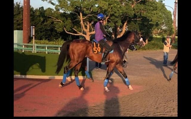 【セントライト記念】サトノラディウス  国枝師「将来性高い」