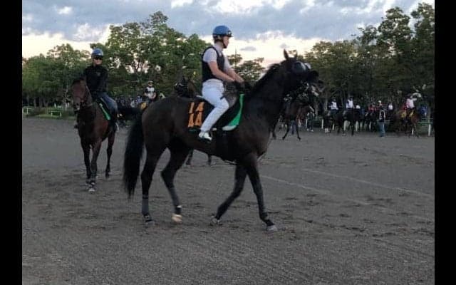 【セントライト記念】ルヴォルグ  ルメールを配して勝負