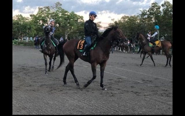 【セントライト記念】ランフォザローゼス 藤沢和師「今度は違う」