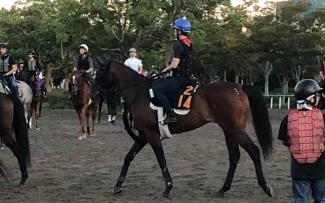 【セントライト記念】オセアグレイト 未勝利から3連勝で勢い十分！