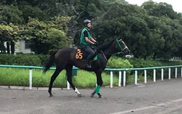 【ローズS】シャドウディーヴァ 斎藤誠師「あまり時計が速くなるとどうか」