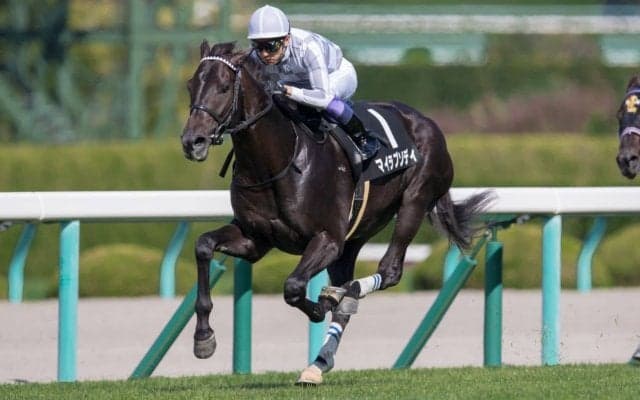 【野路菊S】単勝1.1倍 武豊マイラプソディが5馬身差圧勝！