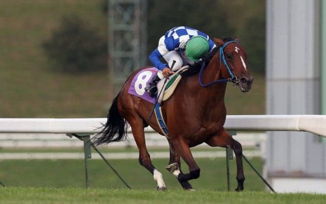 【盛岡・はまぎく賞】転入初戦フィーユブランシェが快勝！