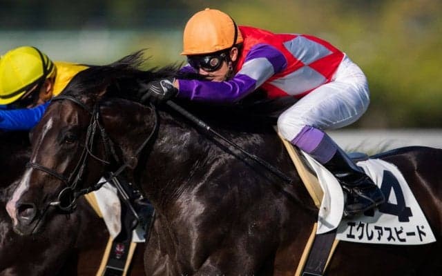 【阪神12R】武豊エクレアスピードが大混戦のゴール前を制する