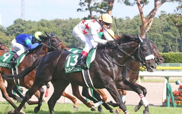 ミッキーグローリー号が競走馬登録抹消