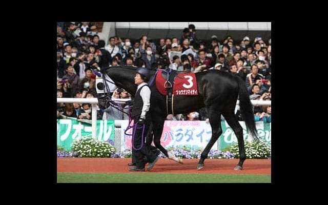 重賞馬の兄を持つレッドラルジュ。北村宏司騎手も「なかなかいい」