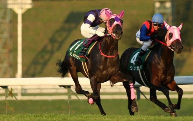 【盛岡・ジュニアグランプリ】北海道フジノロケットが優勝！