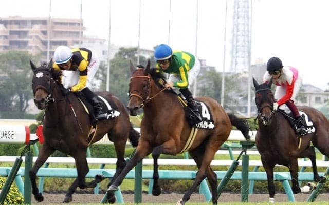 【白井特別】サトノダムゼルがデビューから3戦3勝
