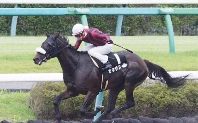 【Ｍエルコンドルパサー】アカネサスが3勝目！人気に応える